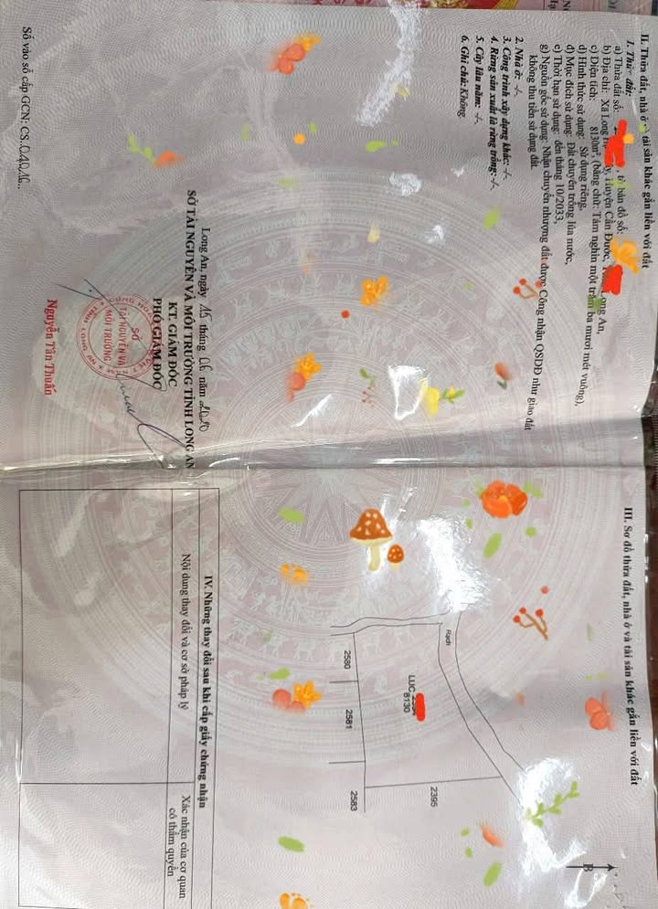 Đất nông nghiệp 8000m² tại Long Hựu Tây, giá 2.64 tỷ - Cơ hội đầu tư tuyệt vời!