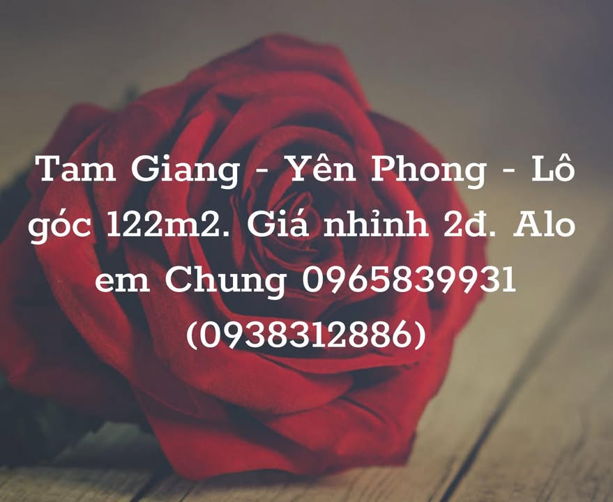 Đất nền lô góc Tam Giang - Yên Phong 122m² giá nhỉnh 2 tỷ - Đầu tư sinh lời ngay!