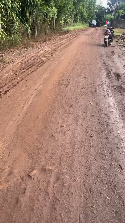 Lô đất 2.800m² tại xã Sông Trầu, Trảng Bom - Giá chỉ 4.3 tỷ - Đầu tư sinh lời!