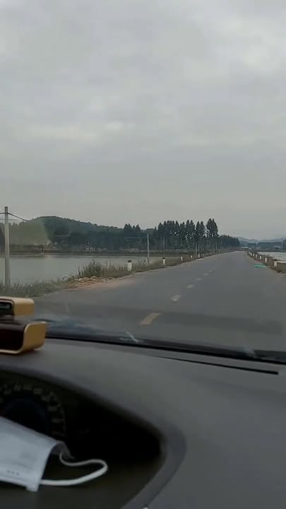 Farm Cẩm Lý Lục Nam 1290m² giá 3 tỷ - View Hồ, Lưng Tựa Núi Đẹp Hiếm Có!