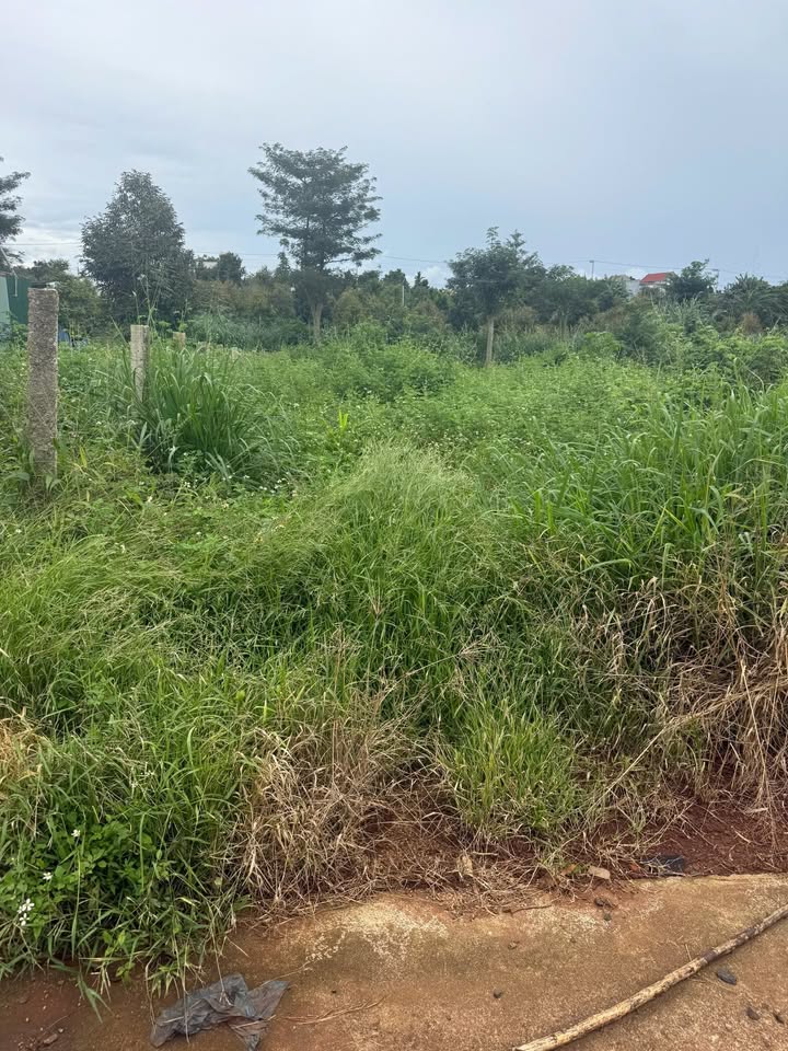 Đất nền Tân Lập Buôn Hồ 500m² giá 800 triệu - Cơ hội đầu tư tuyệt vời!