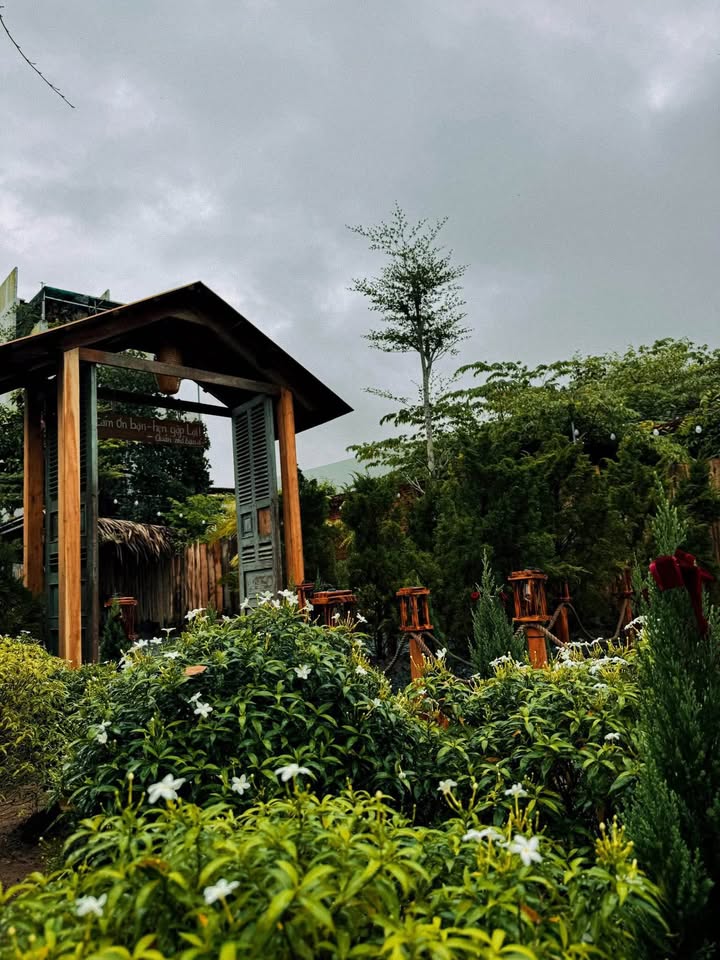 Căn hộ Studio TMS Quy Nhơn 47m² giá thỏa thuận - View biển tuyệt đẹp!