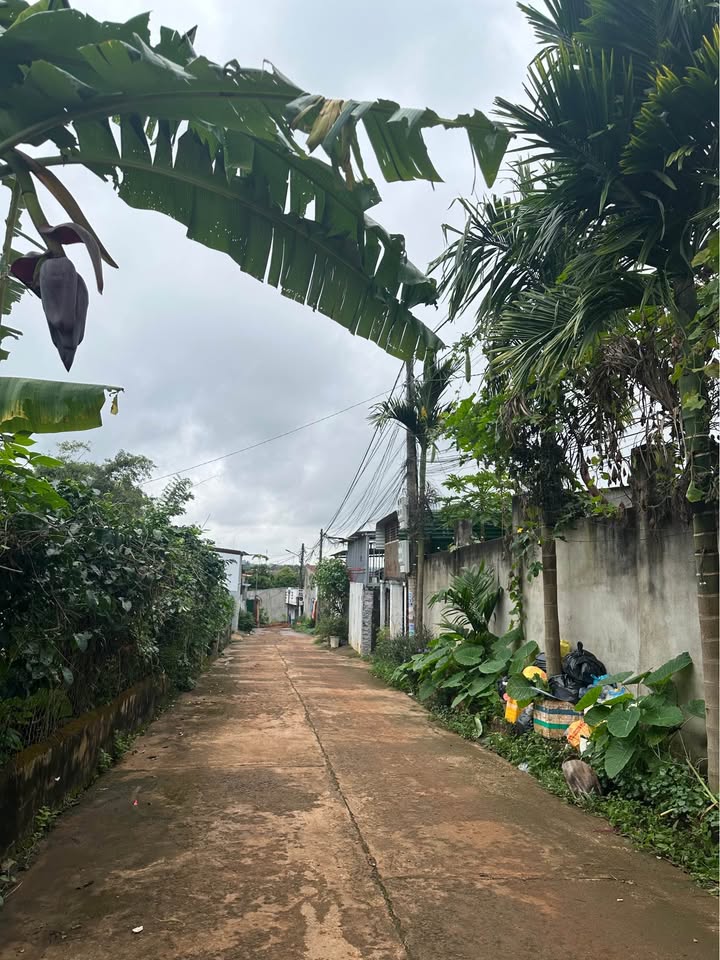 Đất thổ cư Yniksor Buôn Ma Thuột 110m² giá 2.45 tỷ - Vị trí trung tâm, hẻm ô tô rộng!