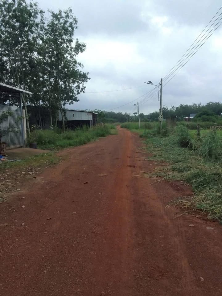 Đất thổ cư 720m² tại Minh Tân, Dầu Tiếng Bình Dương - Giá chỉ 1.1 tỷ!