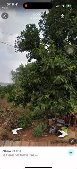 Đất nền đường Thanh Niên, Đức Cơ, Gia Lai - Diện tích 300m², giá thỏa thuận - Cơ hội đầu tư lý tưởng!