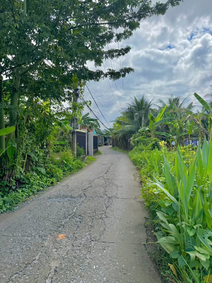 Đất nền 720m² tại Đạo Thạnh, Mỹ Tho - Tiềm năng nghỉ dưỡng cao!