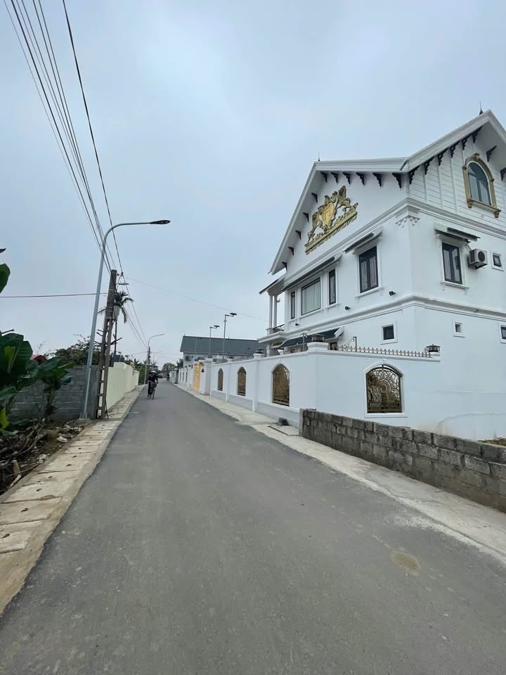 Đất mặt tiền An Thọ, An Lão 78m² giá 1 tỷ - Cơ hội đầu tư sinh lời!