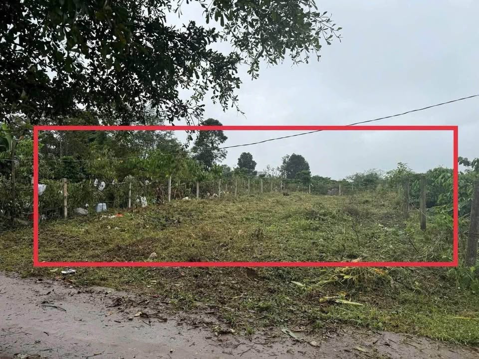 Đất thổ cư xã Ia Hrung, Gia Lai 325m² giá 799 triệu - Sổ hồng chính chủ