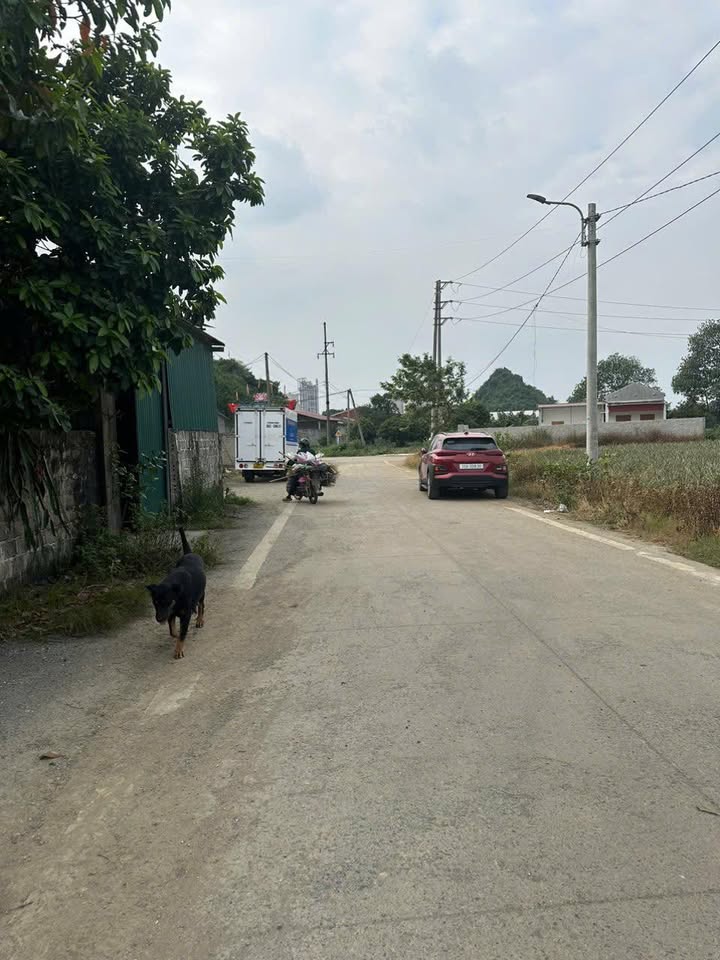 Đất nền chính chủ phường Trung Sơn Tam Điệp 100m² giá 9xx - Đầu tư siêu lợi nhuận!