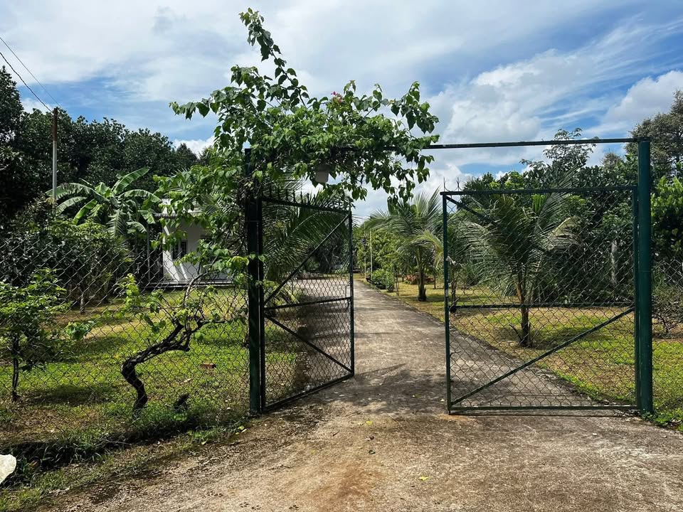 Đất nền Bàu Sen Long Khánh 1016m² giá 1.86 tỷ - View nghỉ dưỡng lý tưởng!