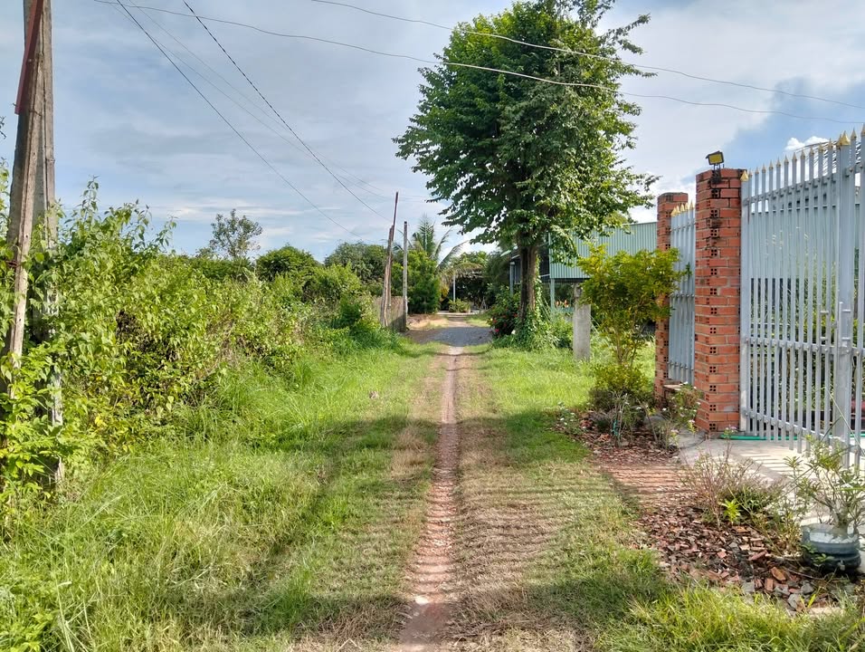 Đất thổ cư ấp Thuận Lâm, Bến Cầu, 275m² giá 430 triệu - Lô đất đồng quê lý tưởng!