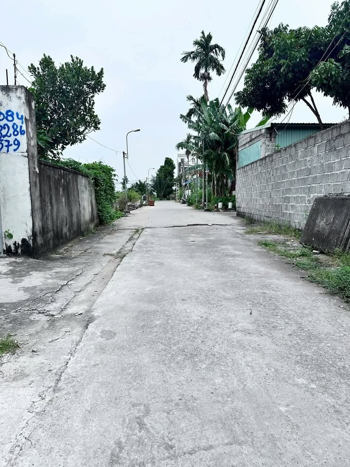 Đất thổ cư Kiến Thụy 68m² giá 1.019 tỷ - Vị trí đắc địa, thuận tiện giao thông!