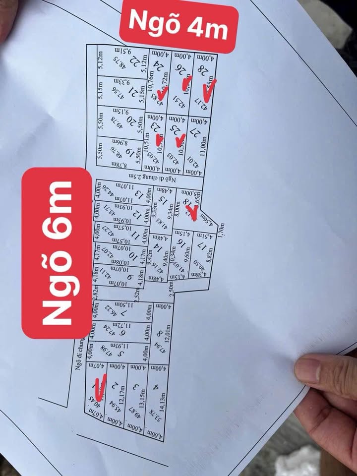 Đất nền Phù Liễn, Kiến An, Hải Phòng 41m² giá từ 800 triệu - Đầu tư sinh lời hấp dẫn!