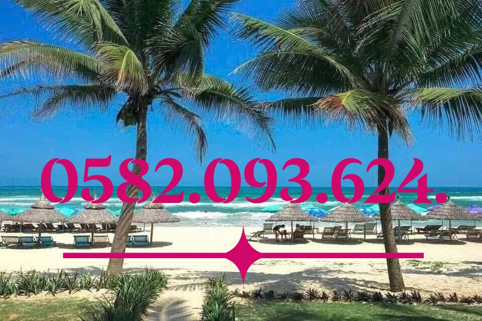 Đất gần biển Sơn Trà 270m² giá 10.99 tỷ - Cơ hội đầu tư hiếm có!