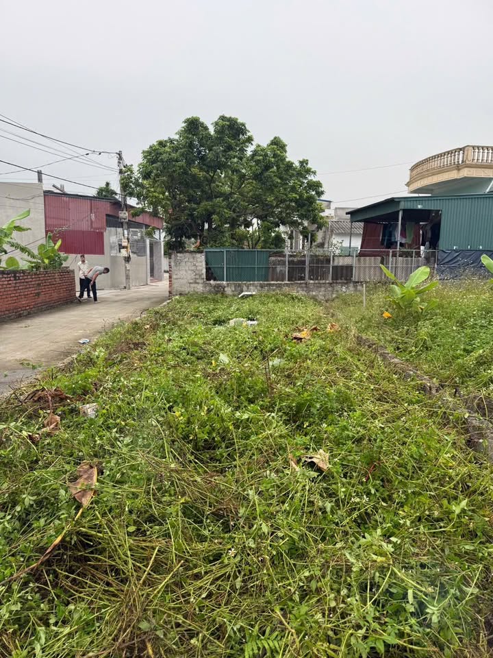 Đất nền góc đẹp Quốc Tuấn, An Lão, 60m² - Tiềm năng tăng giá mạnh!