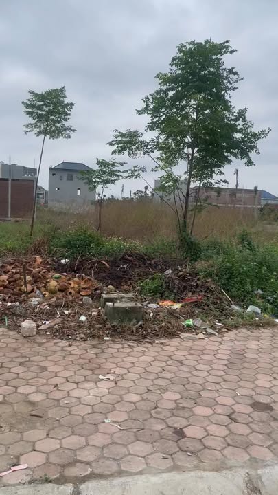 Đất nền Sầm Sơn 99m² giá 2 tỷ - Hướng Bắc, mặt đường Trần Bình Trọng!