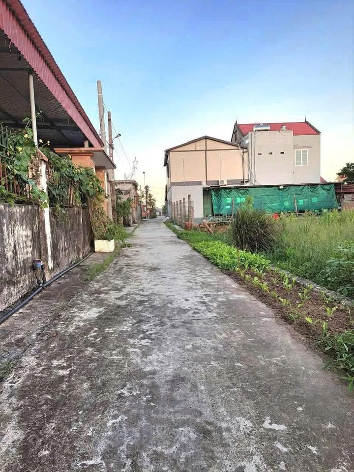 Đất nền Liên Am, Vĩnh Bảo 100m² giá 700 triệu - Cơ hội đầu tư tuyệt vời!