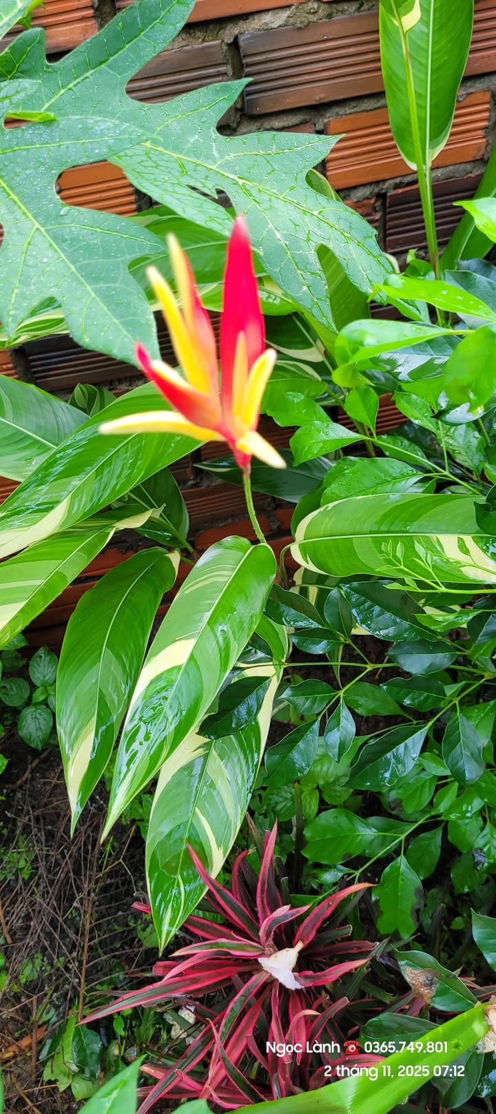 Đất nền 514m² tại Thới Lai, Bình Đại chỉ 270 triệu - Cơ hội đầu tư tuyệt vời!