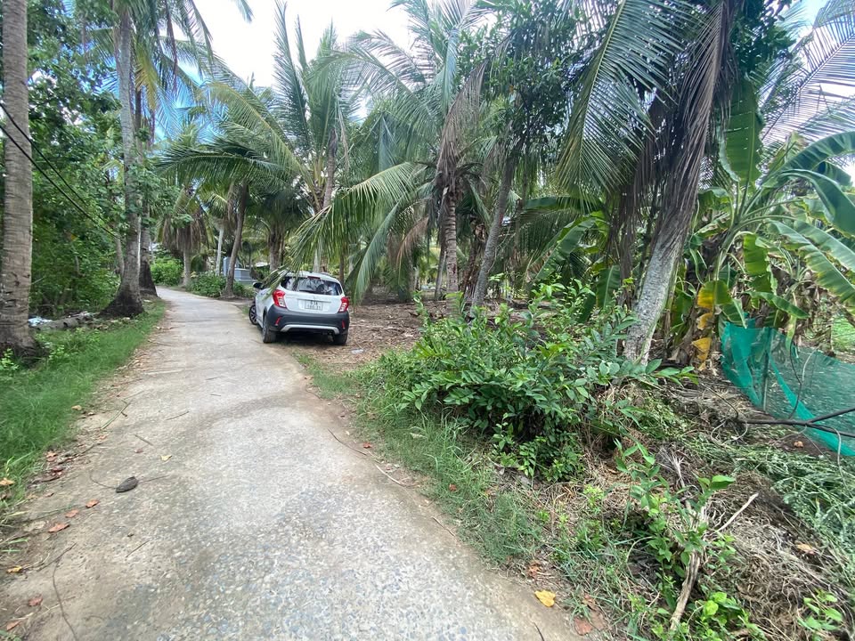 Đất nền chính chủ Định Trung, Bình Đại 325m² giá 300 triệu - Mặt tiền ô tô thoải mái!