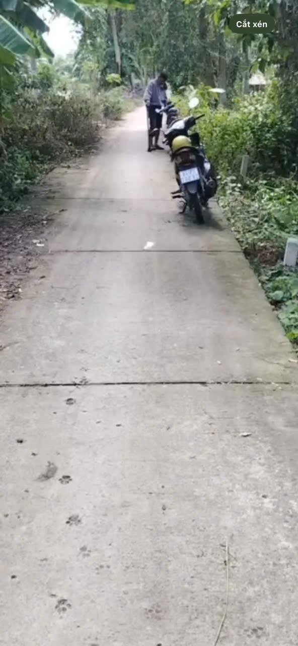 Đất thổ cư xã Tài Văn, Trần Đề 155m² giá 145 triệu - Sổ hồng riêng, gần trường học!