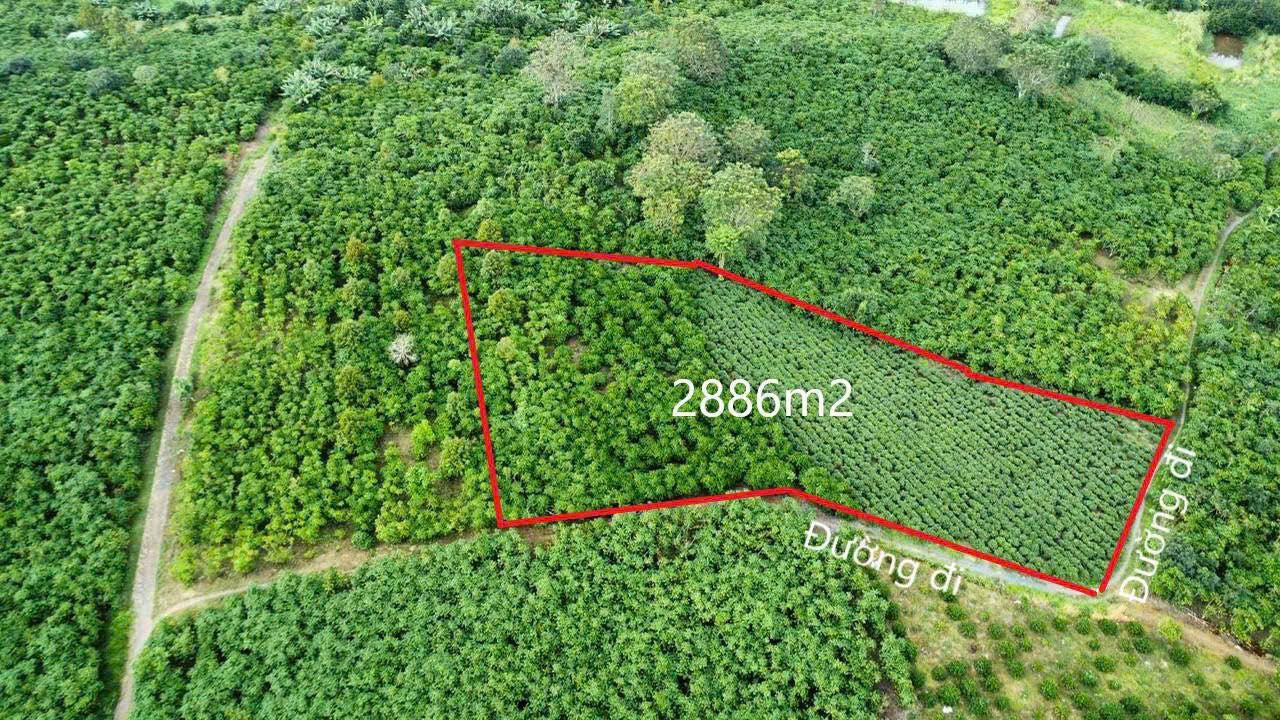 Đất nền hẻm 327 Đoàn Thị Điểm Bảo Lộc 2886m² giá 2.05 tỷ - Nguồn thu ổn định!