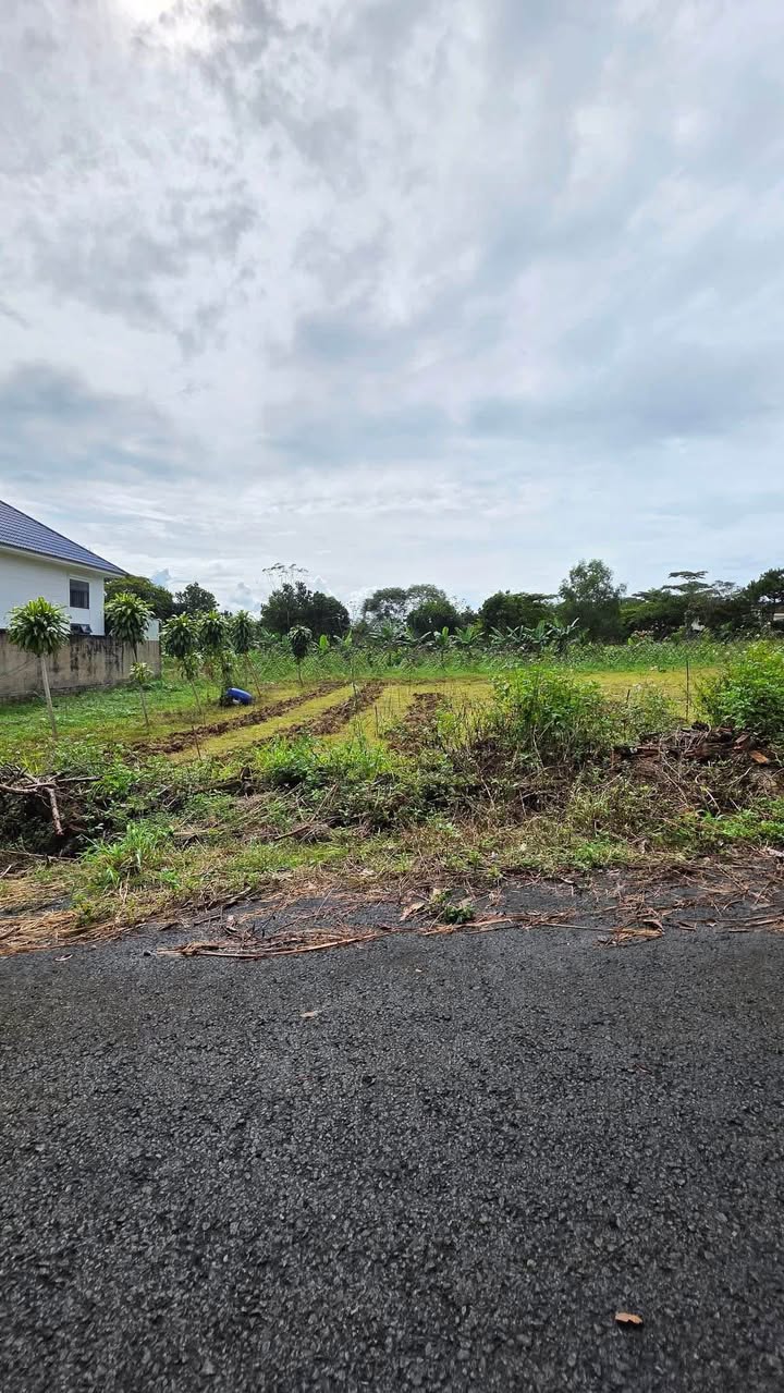 Đất nền thổ cư Bảo Lộc 250m² giá chỉ 1.8 tỷ - Cơ hội đầu tư tuyệt vời!