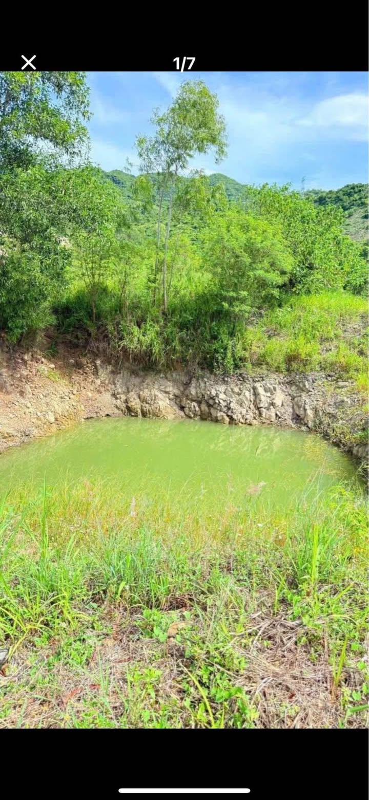 Đất vườn Diên Lâm 3440m² giá 590 triệu - Cơ hội đầu tư hiếm có!