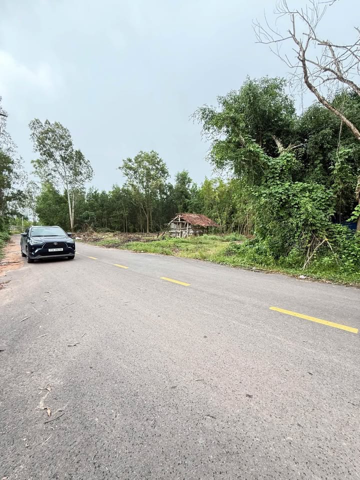 Đất mặt tiền đường nhựa Nhơn Tân 150m² giá thỏa thuận - Đầu tư sinh lời ngay!