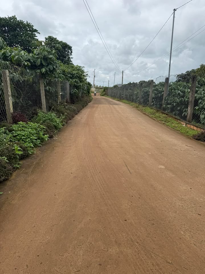 Lô đất Tân Hội, Đức Trọng 125m² giá 850 triệu - Cơ hội đầu tư tốt!