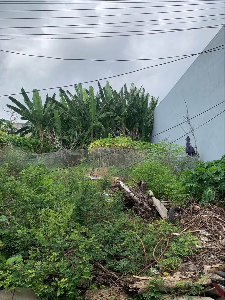 Lô đất hẻm Châu Văn Biết, Thị Trấn Long Điền 500m² giá 1.35 tỷ - Đường bê tông ô tô thuận tiện!