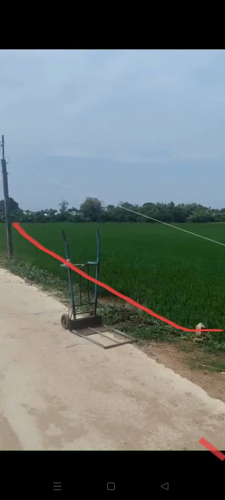 Đất vườn 3000m² tại Tham Đôn, Mỹ Xuyên, Sóc Trăng - Giá chỉ 600 triệu - Tiềm năng nghỉ dưỡng cao!