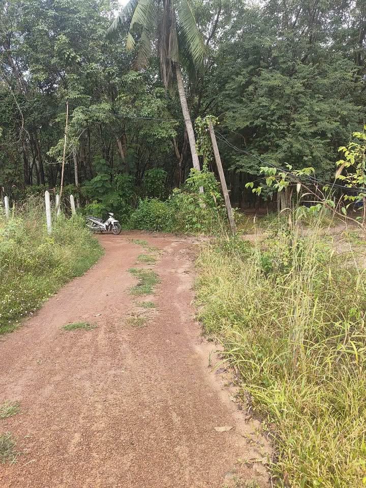 Đất nền thổ cư xã Phan, Dương Minh Châu 1003m² giá 54.115 tỷ - Cơ hội đầu tư tuyệt vời!