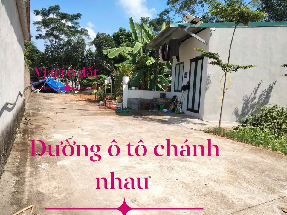 Đất nền Phượng Lâu Việt Trì 92m² giá chỉ 1 tỷ - Cơ hội đầu tư tuyệt vời!