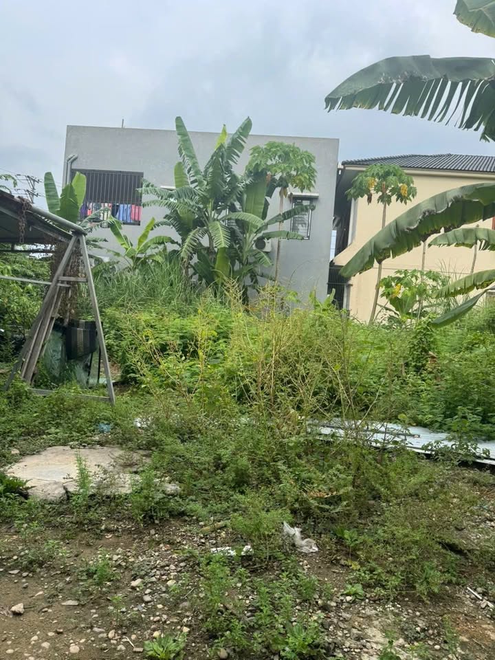 Đất nền KDC Trường An, Phú Thọ 85m² giá 1,xx tỷ - Đầu tư sinh lời tuyệt vời!