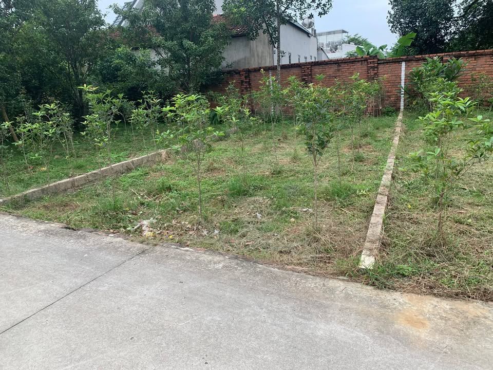 Lô đất thổ cư 92m² tại Tân Xã - Giá chỉ 4.14 tỷ - Cơ hội đầu tư tốt!