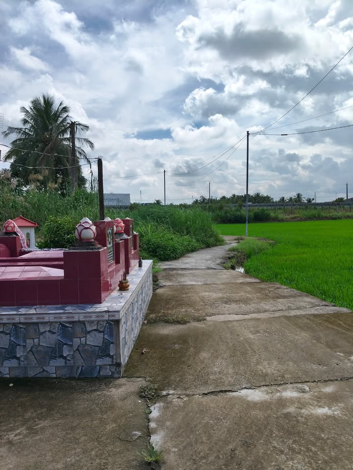 Đất thổ cư 193m² tại Lợi Bình Nhơn, Tân An - Giá chỉ 370 triệu!