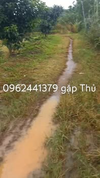 Đất nền Phú Sơn, Lâm Hà 960m² giá 768 triệu - Cơ hội đầu tư hấp dẫn!