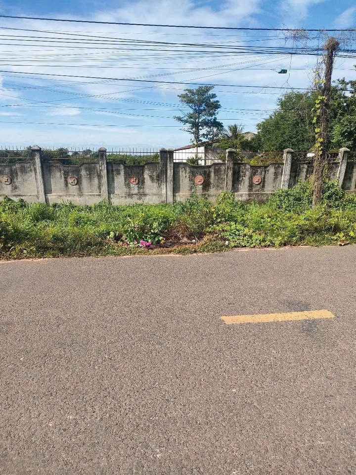 Đất nền Tân Đông, Tân Châu 3902m² giá chỉ 4.996 tỷ - Cơ hội đầu tư tuyệt vời!