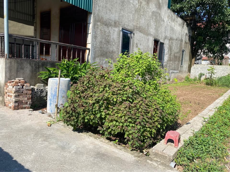 Đất nền Tự Nhiên, Thường Tín 82m² giá 3.28 tỷ - Lô góc đẹp, vị trí đắc địa!