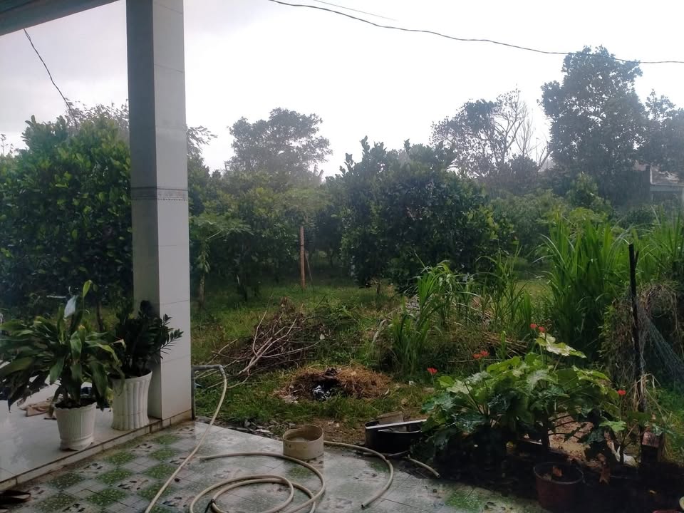 Đất nền khu vực Hưng Thuận, Trảng Bàng, Tây Ninh 6000m² - Tiềm năng đầu tư lớn!