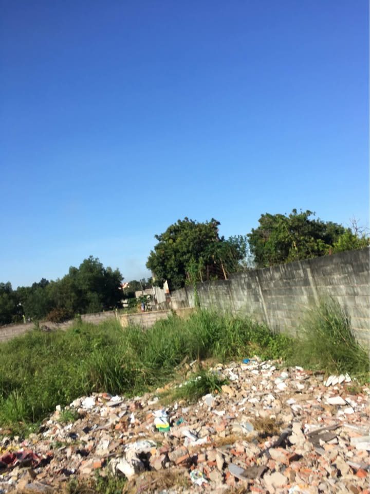 Đất thổ cư 11,725m² tại Xuân Đông, Cẩm Mỹ - Chính chủ, sổ hồng đầy đủ!