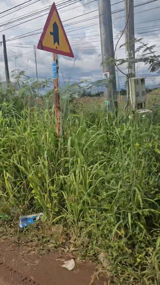 Đất nền Khu Dân Cư Hạnh Phúc Đồng Xoài 162m² giá 900 triệu - Đầu tư sinh lời ngay!