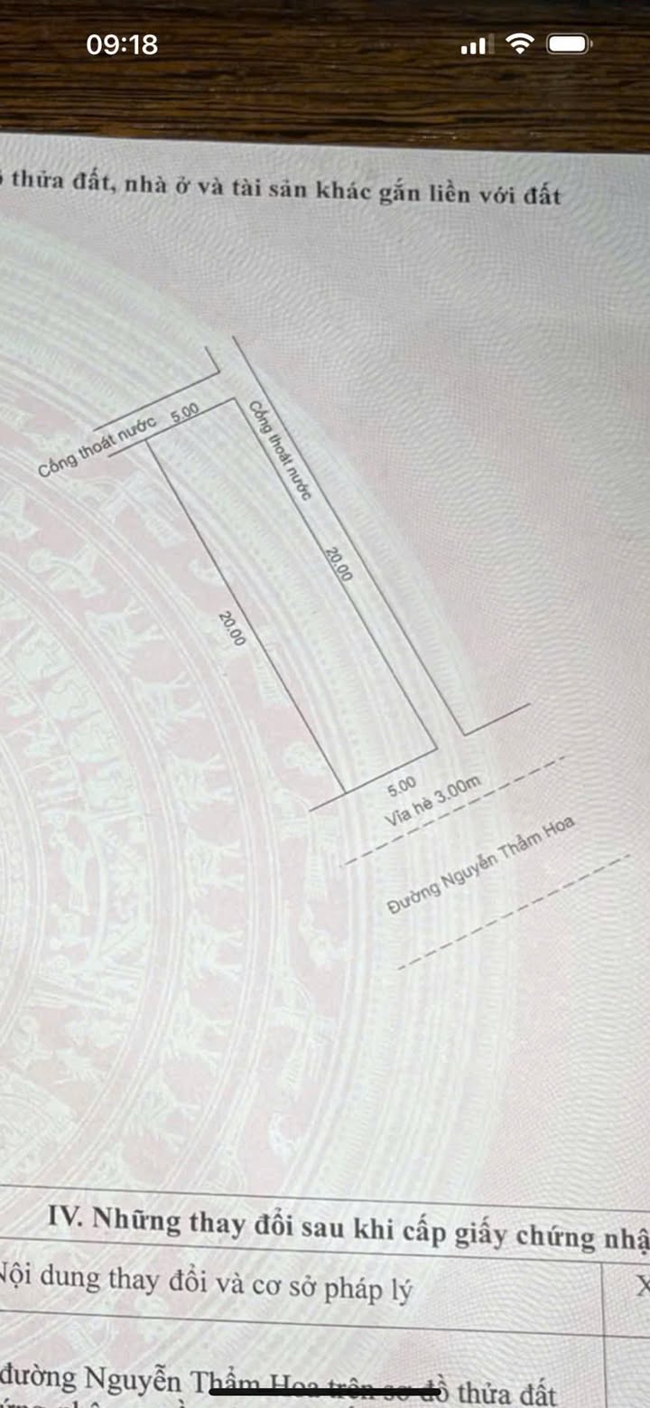 Đất nền Khu Tái Định Cư Tân Trà, Đà Nẵng 100m² giá 5.05 tỷ - Đầu tư sinh lời ngay!