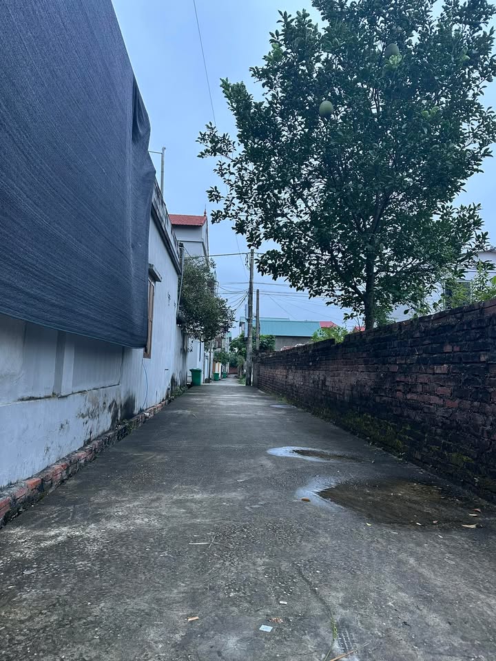 Đất nền thổ cư Cự Đạo Bắc Ninh 76m² giá 2 tỷ - Đầu tư sinh lời hấp dẫn!