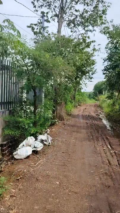 Đất nền Xuân Lộc 3600m² giá 395 triệu - Đầu tư sinh lời cao!