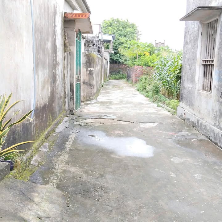 Đất nền Tân Học - Thái Thụy 110m² giá 550 triệu - Sổ đỏ chính chủ, ô tô vào tận nơi!