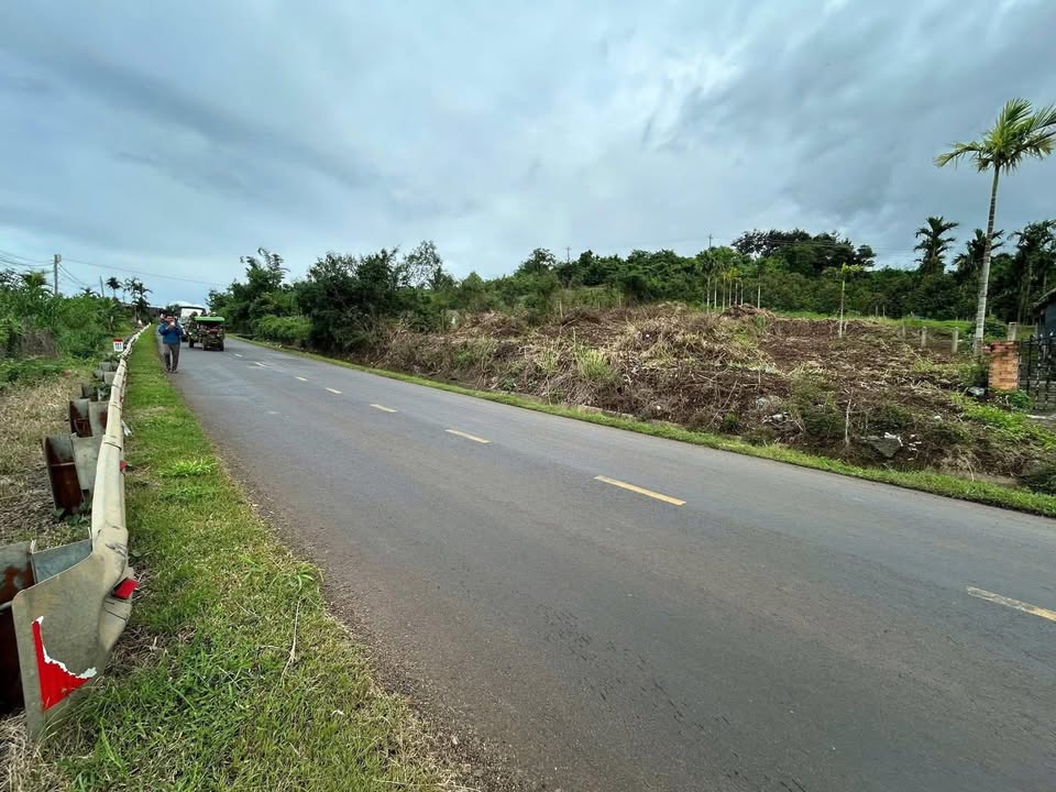 Đất mặt tiền QL29 Krông Năng 1320m² - Giá đầu tư hấp dẫn!