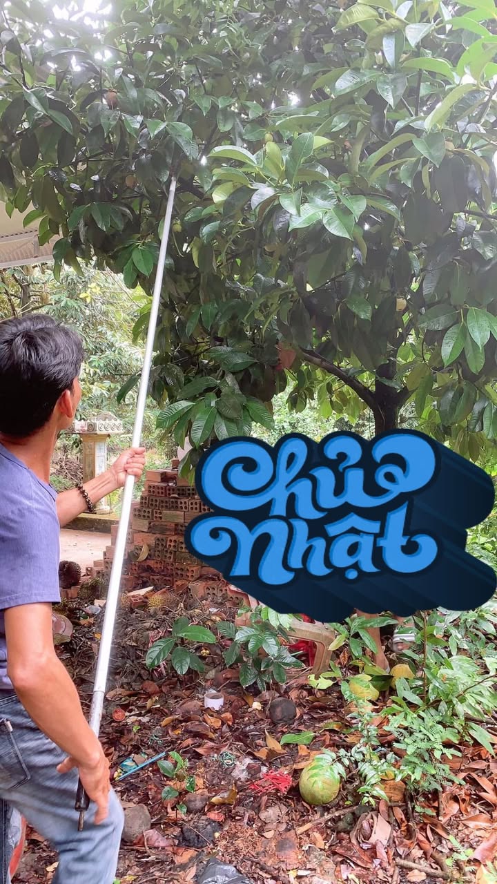 Đất vườn 1,5 hecta xã Phú Thịnh, giá 4,1 tỷ - Cơ hội đầu tư tuyệt vời!