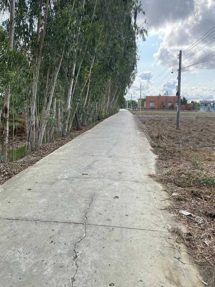 Đất thổ cư 360m² Long Hựu Tây - Giá 1.4 tỷ, Chính chủ bán gấp!