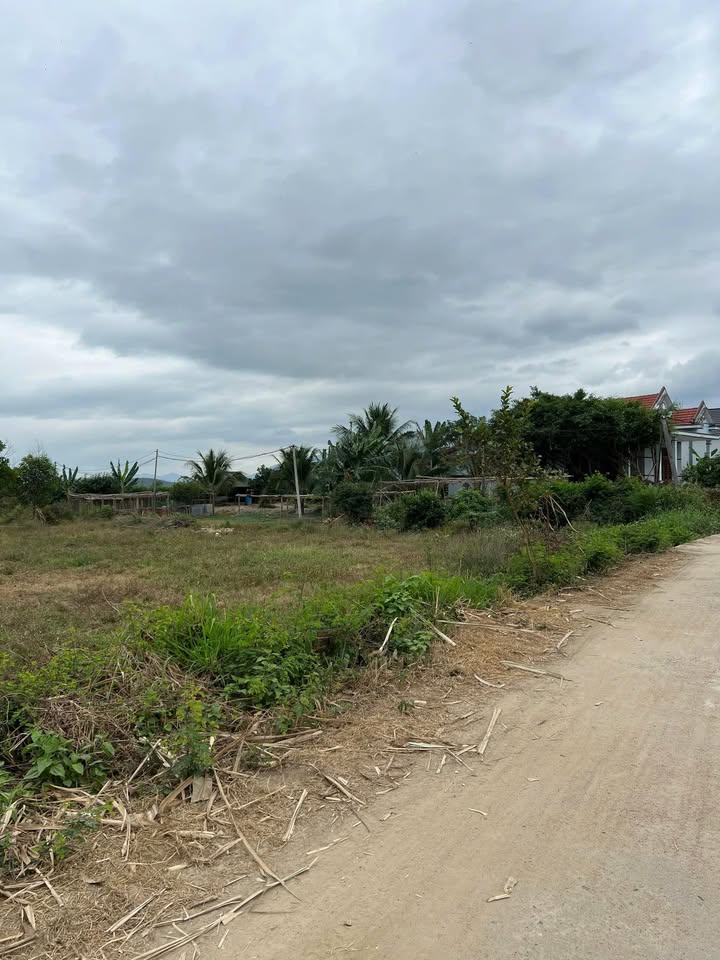 Đất nền Ninh Xuân 1400m² giá thỏa thuận - Cơ hội đầu tư vàng chờ đón!